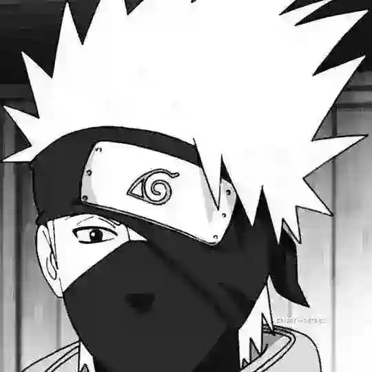 Kakashi's Memes