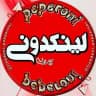 لینکدونی پپرونی linkdoni