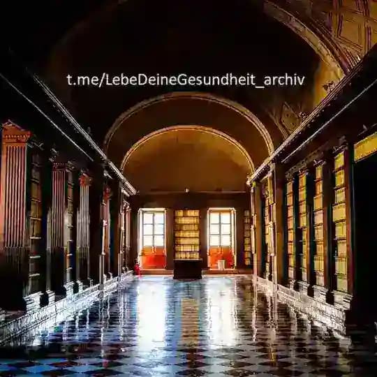 🗄LebeDeineGesundheit-Archiv