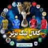 لیگ برتر