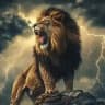 LION'S AIRSPACE 🦁
