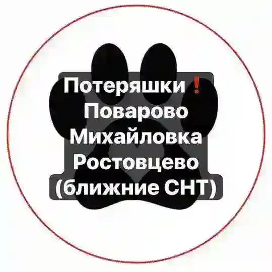 ПОТЕРЯШКИ‼️ПОВАРОВО‼️24/7