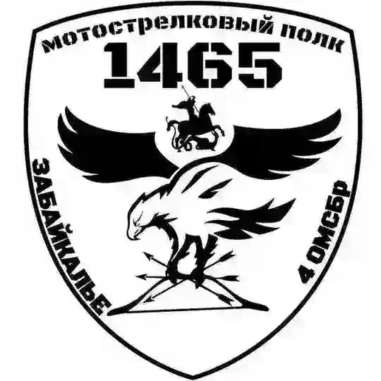1465 МСП | 4 ОМСБр Profile