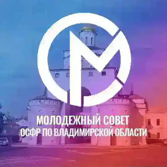 Молодежный совет ОСФР по Владимирской области