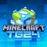 🌎 • MinecraftTG24