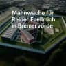 Mahnwache Reiner Fuellmich