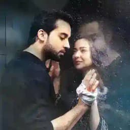 Meri Zindagi Hai Tu Pakistani Drama Profile