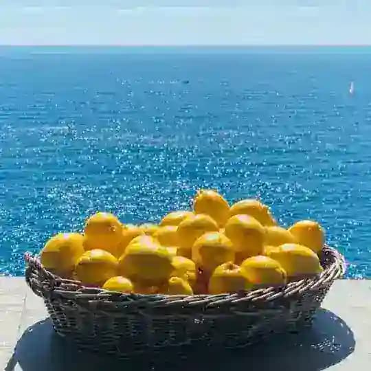 MikhaellaTaste 🍋