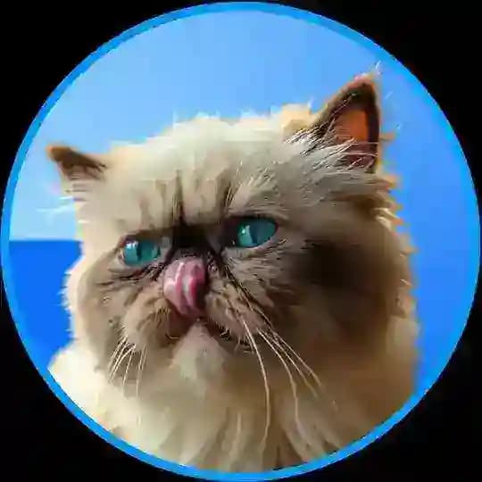 Mister Miggles