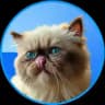 Mister Miggles
