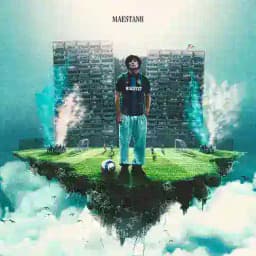 MAESTANII Profile