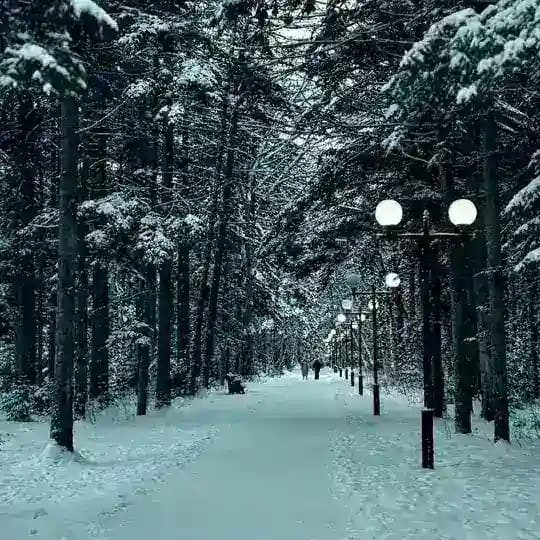 Хранилище теплых моментов🧡🎁