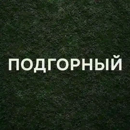 Подгорный Profile