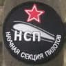 Научная Секция Пилотов