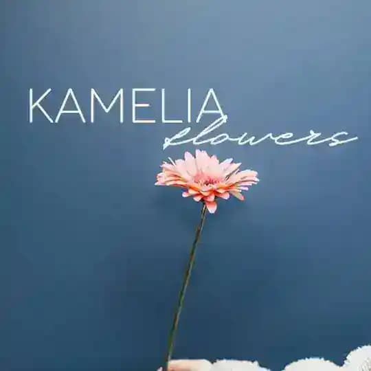 KAMELIA FLOWERS SP