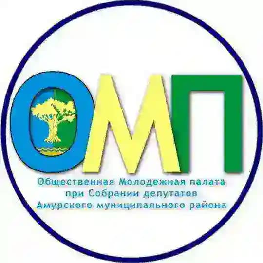 ОМП Амурский район