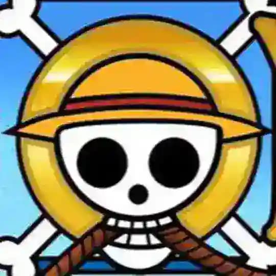 One Piece Fans®