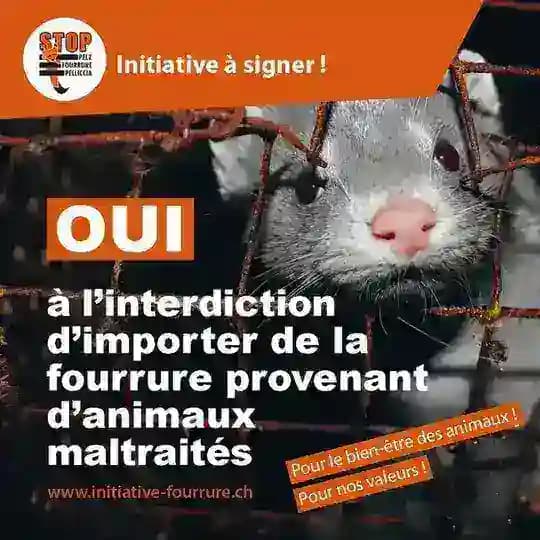 Oui à l’interdiction d’importer du foie gras / produits en fourrure provenant / une limitation des feux d’artifice Profile