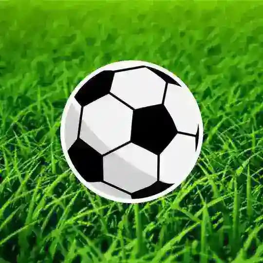 فوتبال در جهان موازی Profile