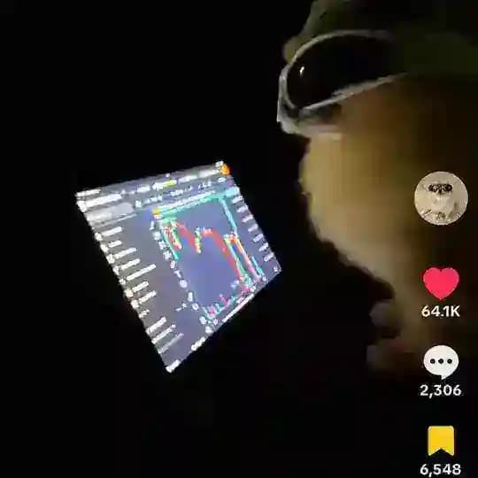 Kori The Pom