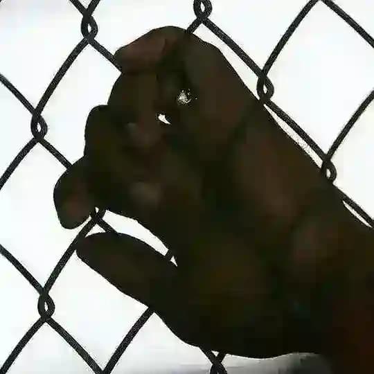 Real Prison Break Facts - Breakout / escape from prisons - Dangerous Prisoners that should remain behind bars