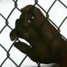 Real Prison Break Facts - Breakout / escape from prisons - Dangerous Prisoners that should remain behind bars