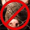 Против свинокомплекса в Скопинском районе
