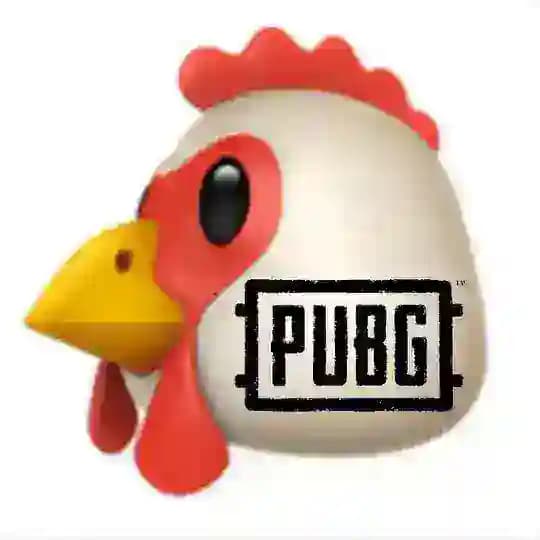 Pubg 4.3 APK OBB
