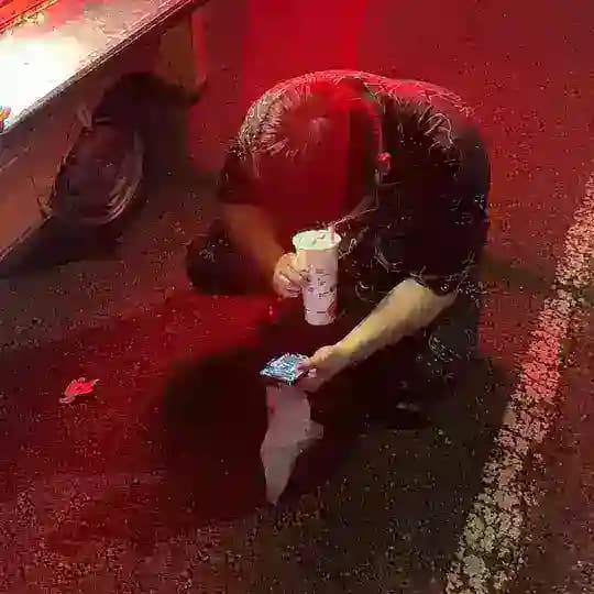 虫八半火主频道