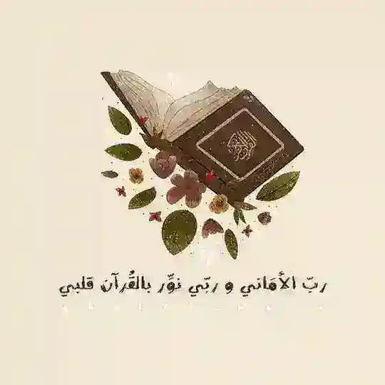 نور القرآن