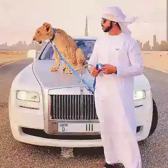 Raftaar Dubai ™[Cricket Fixer]