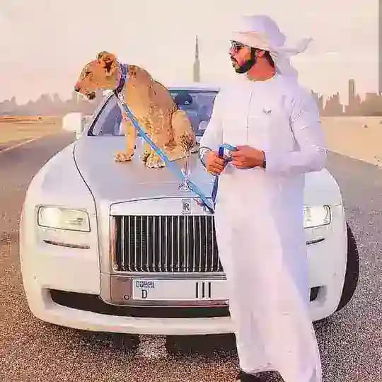 RAFTAAR ➖ TOSS