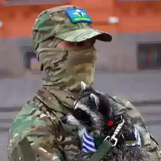 Роман Наумов