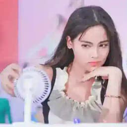 SHP Channel (5) Profile