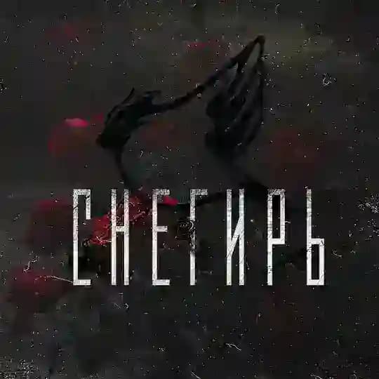 Снегирь из ДНР🇷🇺