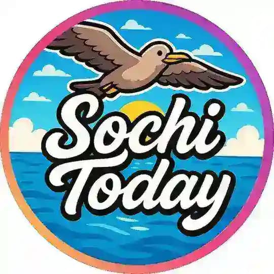 Sochi Today 🌀