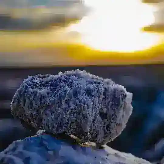 Salz der Welt Profile