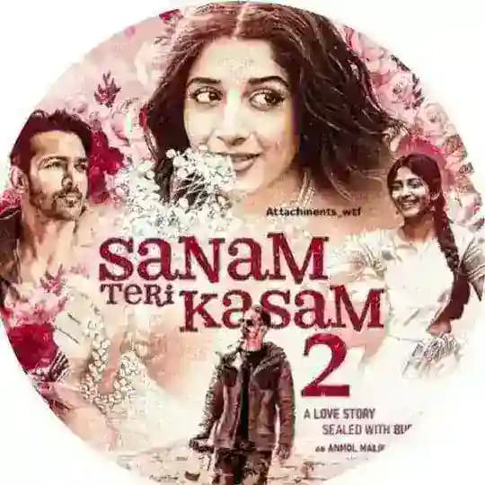 Sanam Teri Kasam 2 | Shiddat | Sanam Re