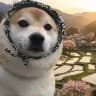 fren