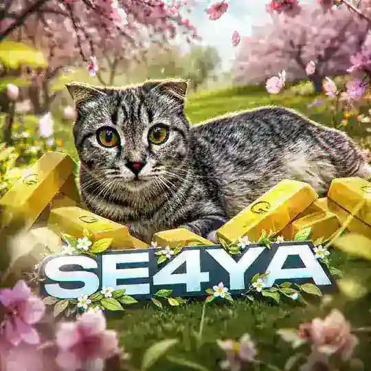 Se4ya | SO2