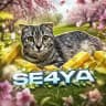 Se4ya | SO2