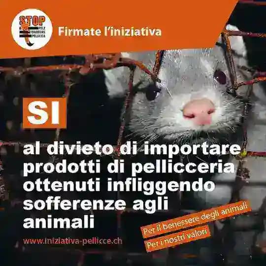 Sì al divieto di importare prodotti di pellicceria / di foie gras / una limitazione dei fuochi d’artificio