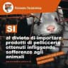 Sì al divieto di importare prodotti di pellicceria / di foie gras / una limitazione dei fuochi d’artificio
