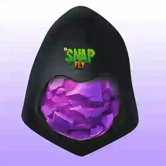 Snap Fly Updates