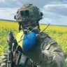 Воїни України