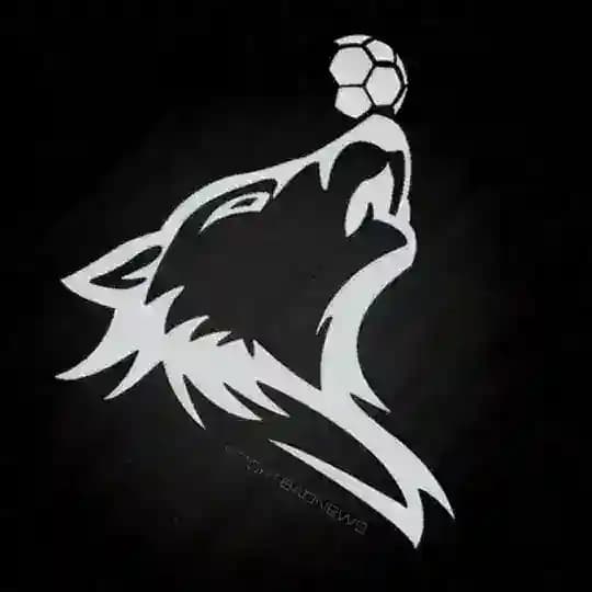 ⚽ Sport Bad News Profile