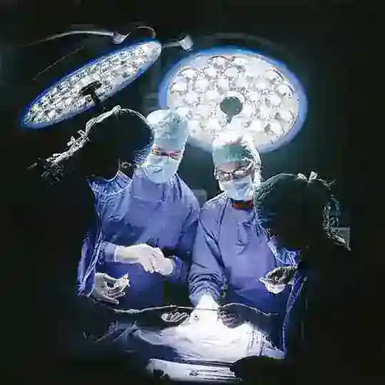Surgery Data | MW