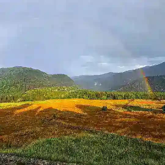 Энциклопедия Сванети