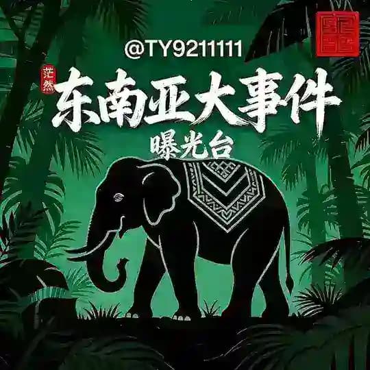 东南亚大事件 曝光台