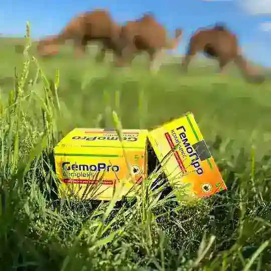 Gemopro rasmiy kanal